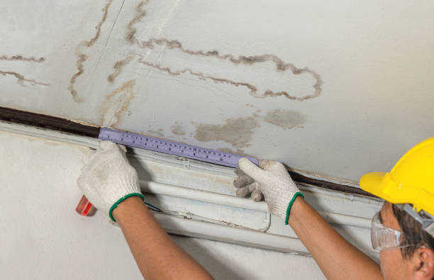 Reliable Water Damage Repair contractor in Wellsburg, WV by Hirex Water Damage